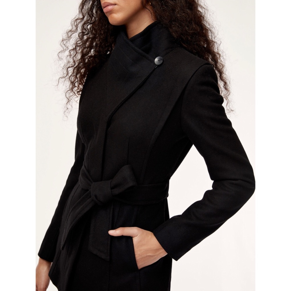 NWOT ARITZIA BABATON COAT